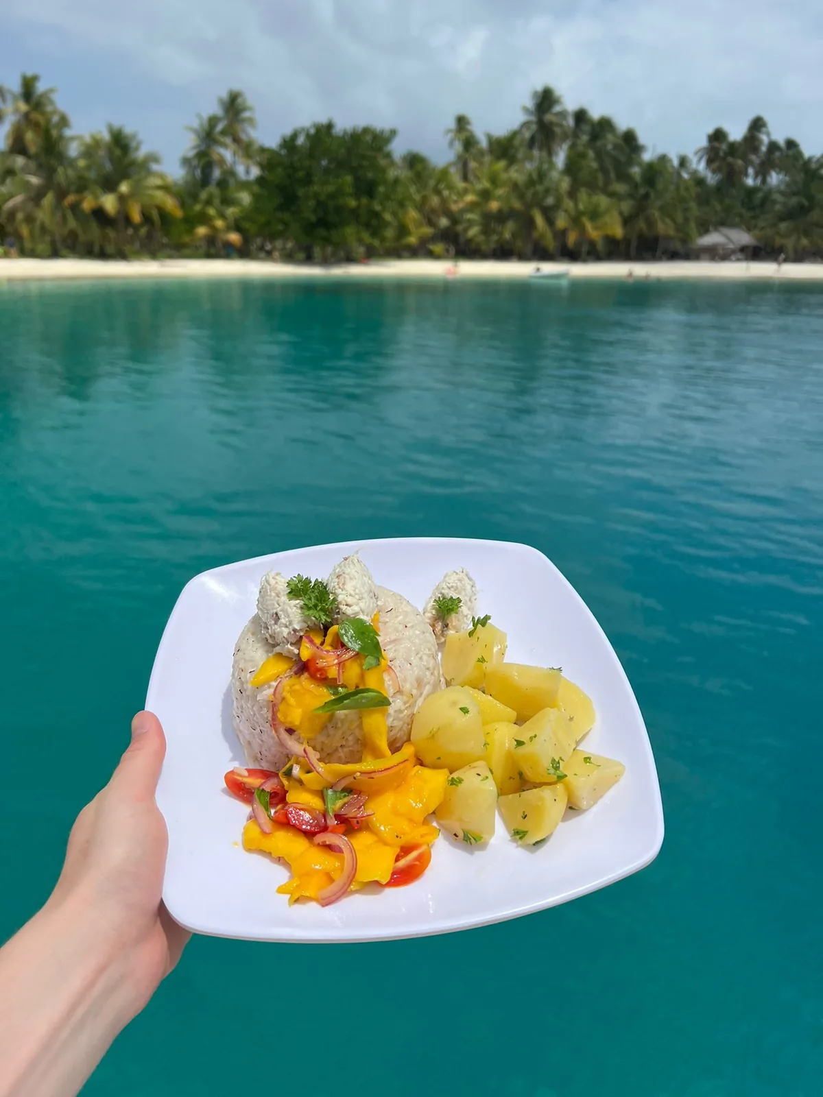 A plated lunch of rice, potatoes and fresh salsa held over turquoise water