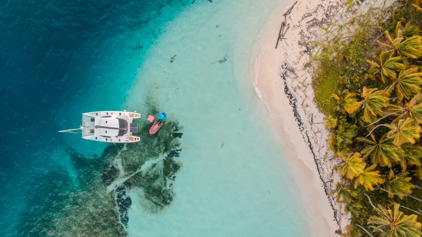 Drone view of the catamaran anchored off a white-sand beach and palm trees