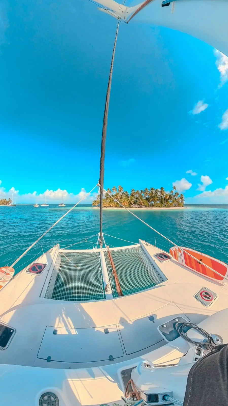 Bow trampolines facing a palm island across turquoise water