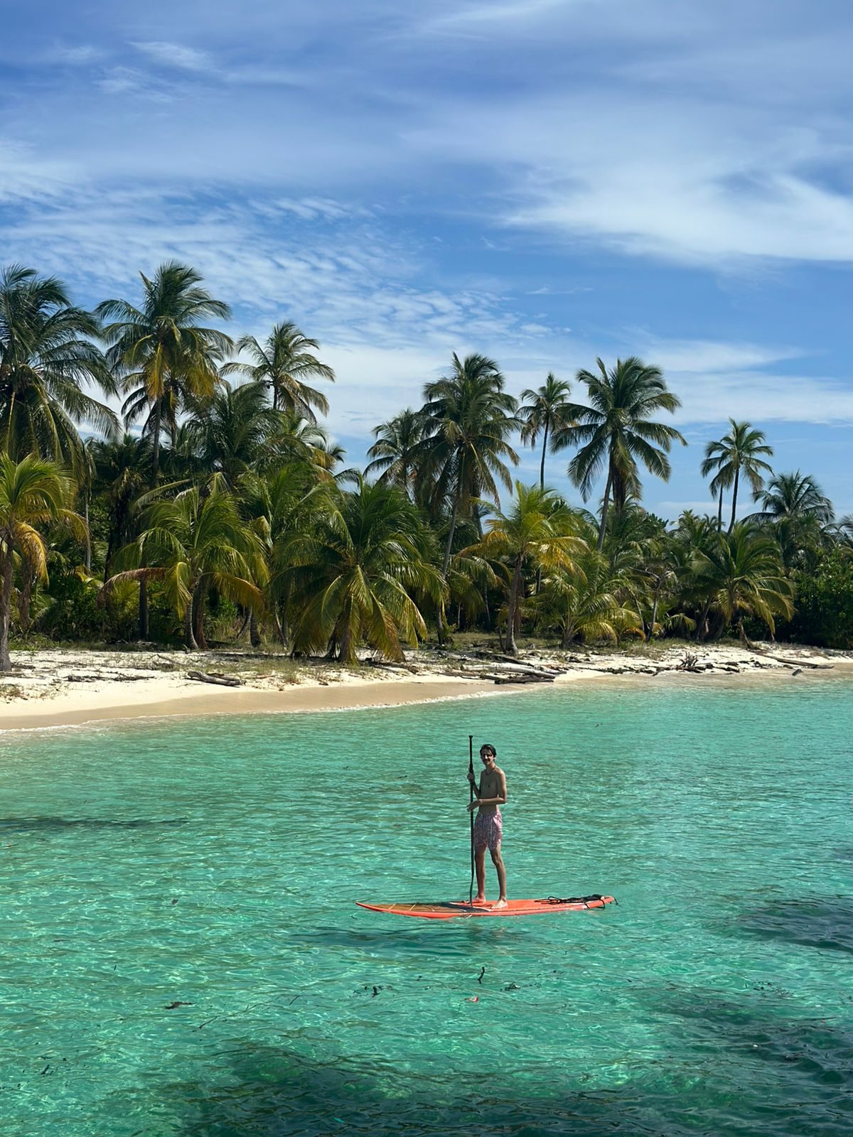 Paddleboarding in shallow water beside a palm-covered island