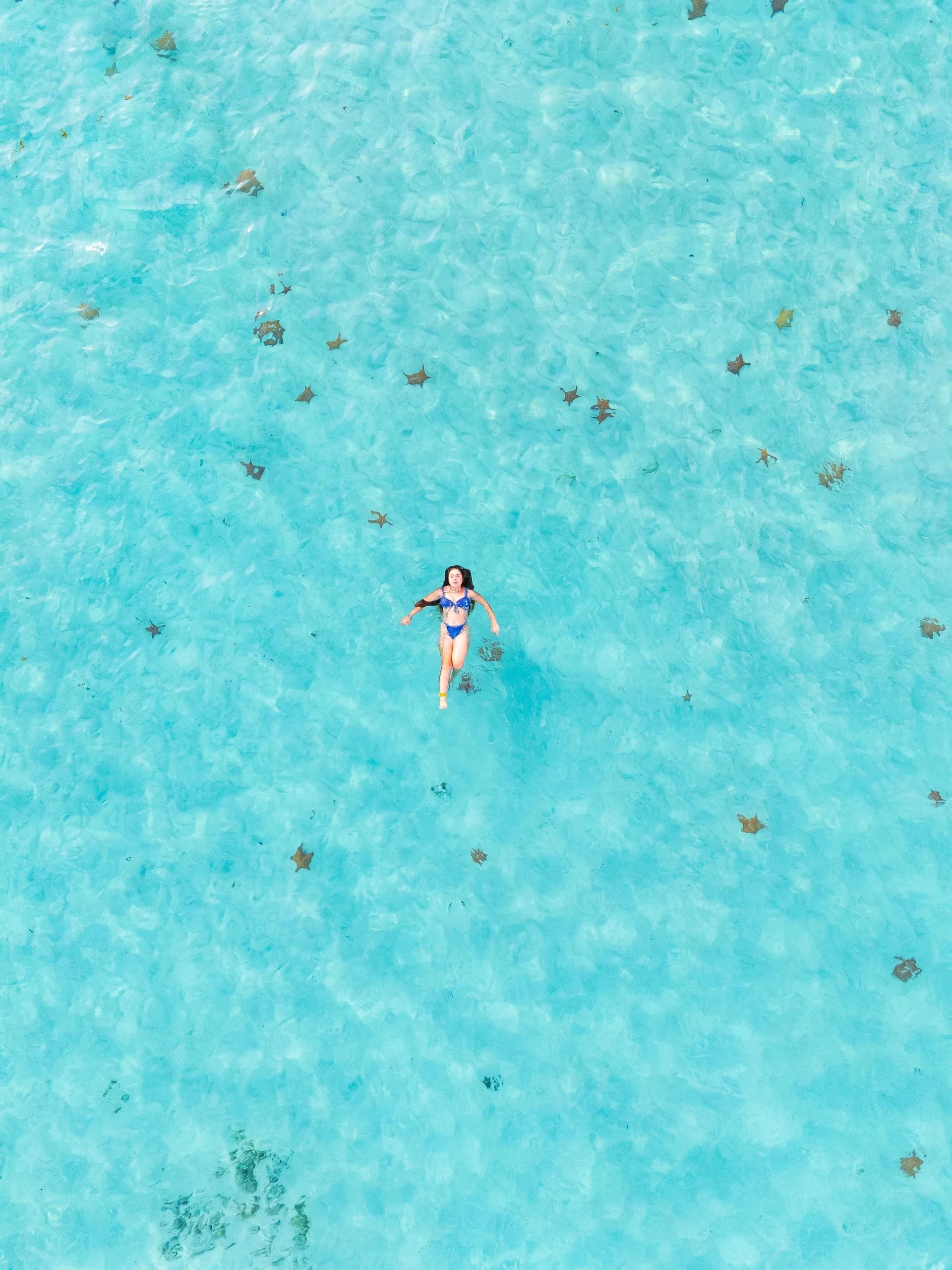 Premium Beachfront Cabin