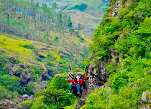 WhatsApp Image 2025-05-19 at 04.25.29