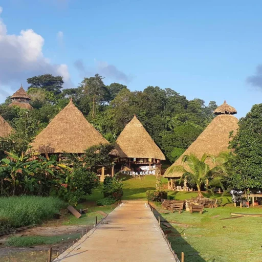 private-6-hours-tour-to-embera-s-community-panama-roots-3497468